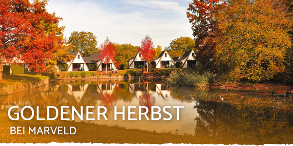 Goldener Herbst bei Marveld